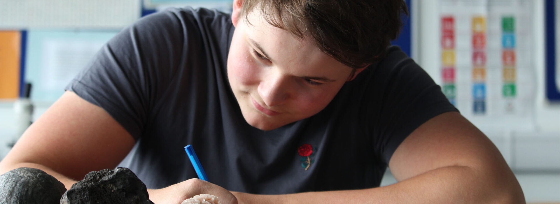 Photograph of a student revising for a Geology exam